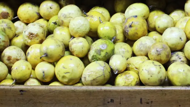 Maracuya, fruit de Colombie