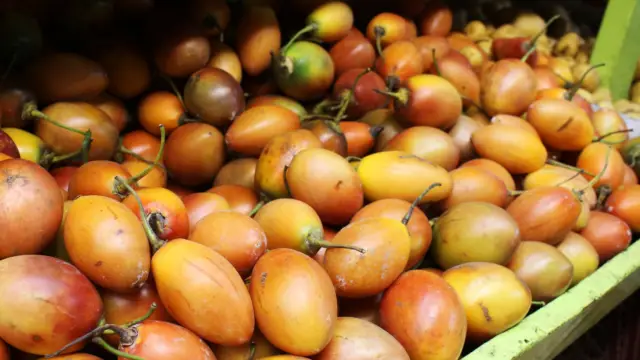 Tomate de arbol de Colombie