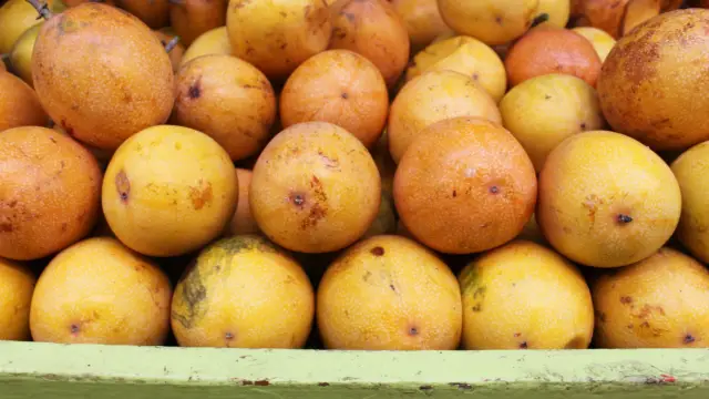 Granadilla, fruit de Colombie