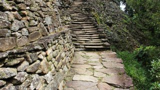 Les marches vers la Ciudad Perdida en Colombie