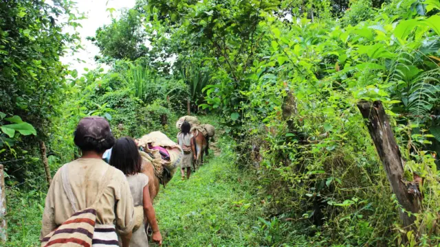 Le trek de la Ciudad Perdida près de Santa Marta en Colombie