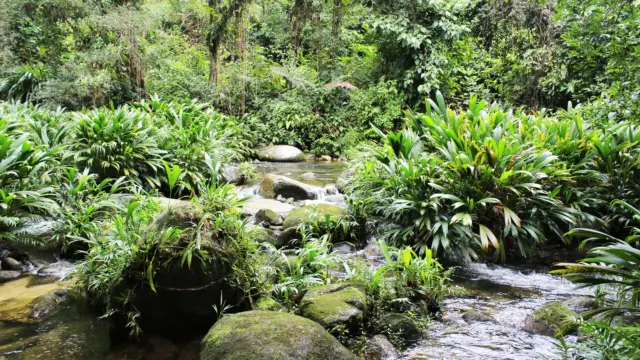 Les cascades et rivieres de la Sierra Nevada de Santa Marta