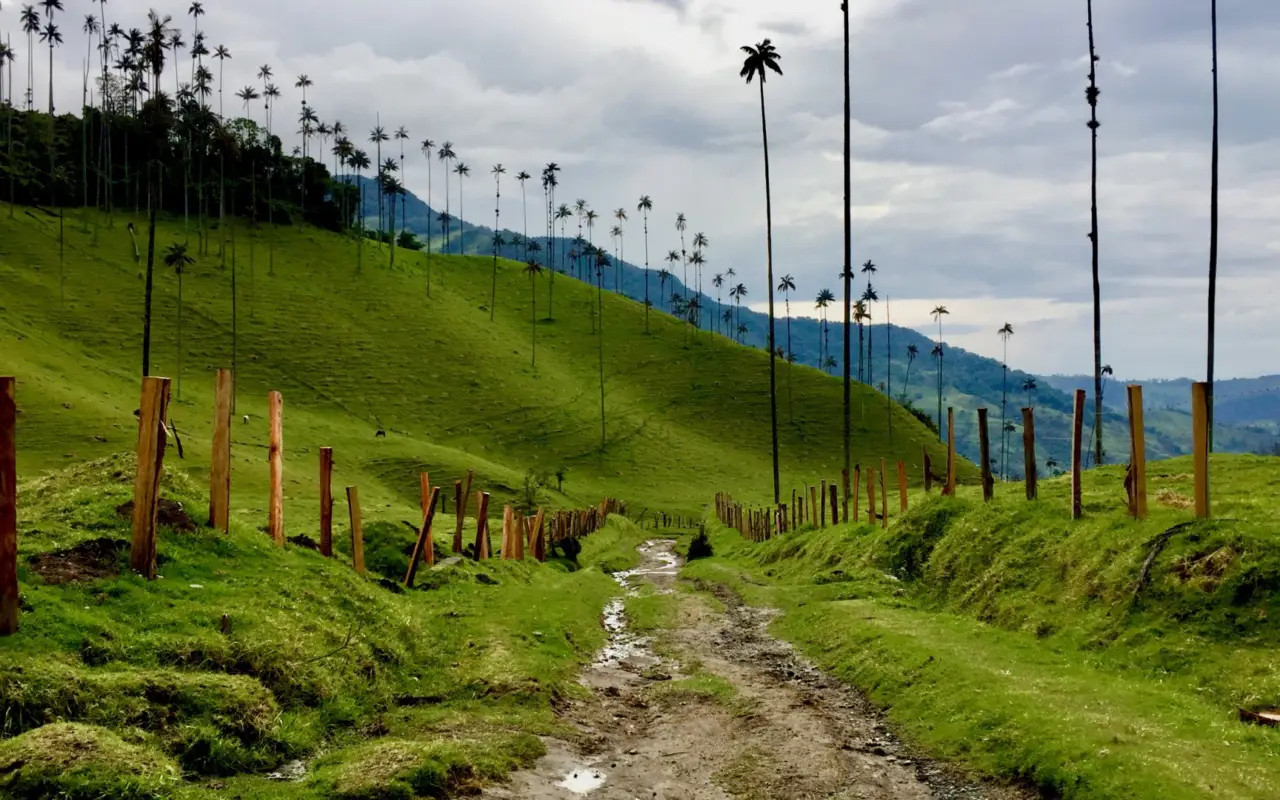 salento-colombie