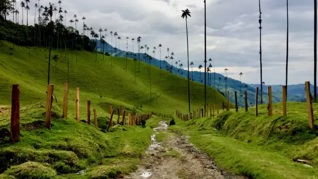 La Colombie élue meilleure destination pour l&rsquo;année 2020
