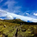 Le Tolima