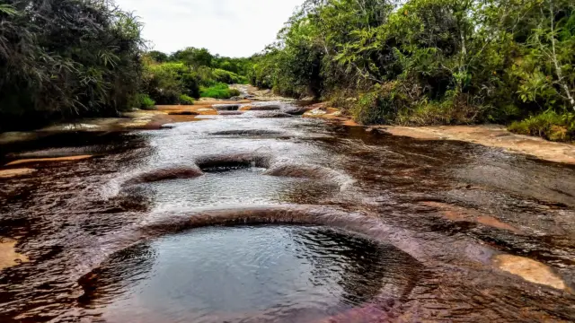 Las gachas : le Caño Cristales du Santander