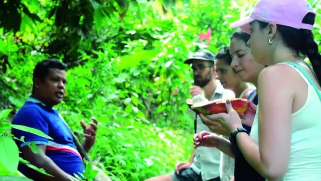 cacao tour