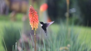 Peut-on voyager en Colombie en ce moment ?