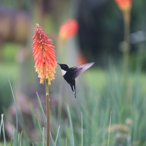 Peut-on voyager en Colombie en ce moment ?