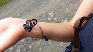 Le greta oto papillon aux ailes transparentes