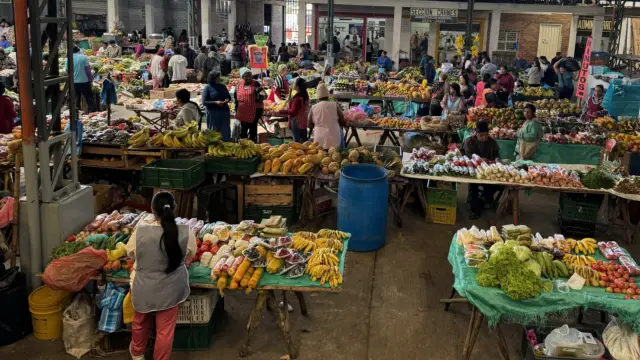 marche de silvia
