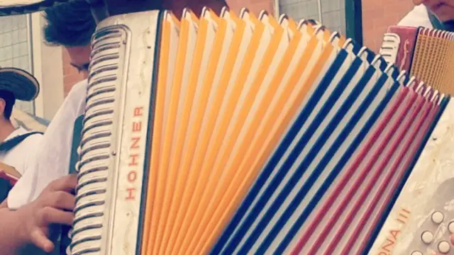 Accordéoniste de vallenato