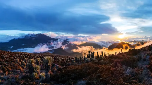 Volcan Tolima dans le parc national Los Nevados
