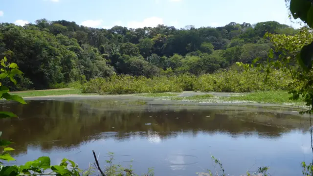 Envol vert : la biodiversité colombienne préservée