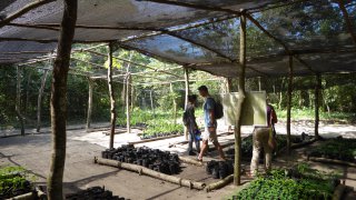 Sumate el Bosque