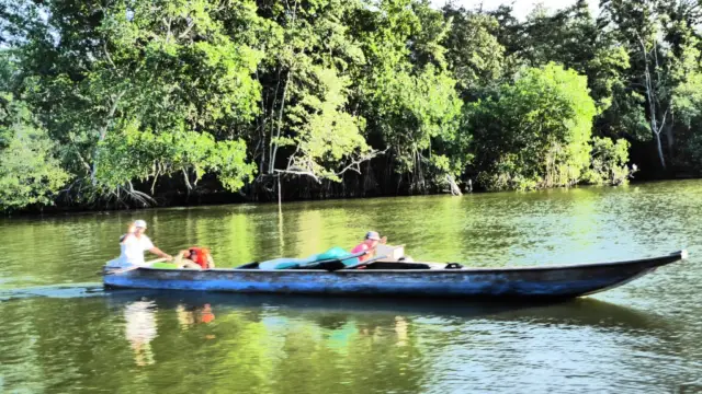 Navigation sur la Cienaga en Colombie