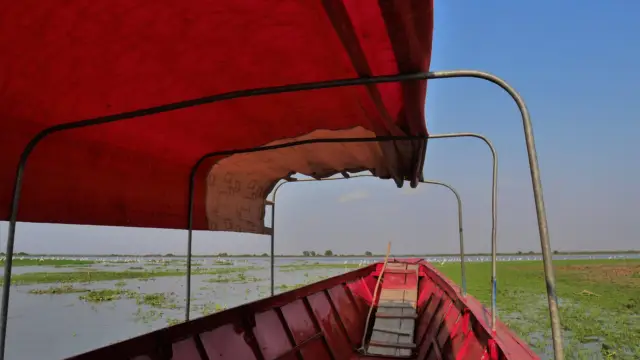 Bateau dans la cienaga de Mompox en Colombie