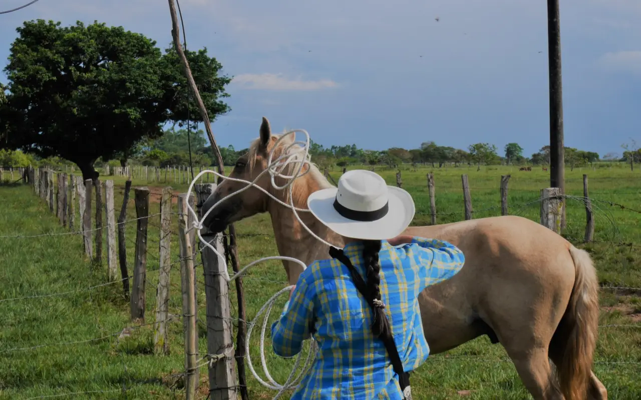 Ballade à cheval dans les Llanos Orientales