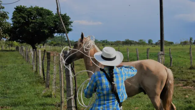 La Colombie au grand galop