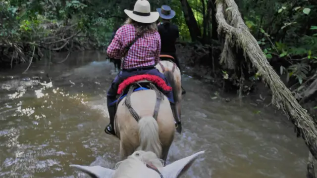 A cheval dans un marais du Casanare