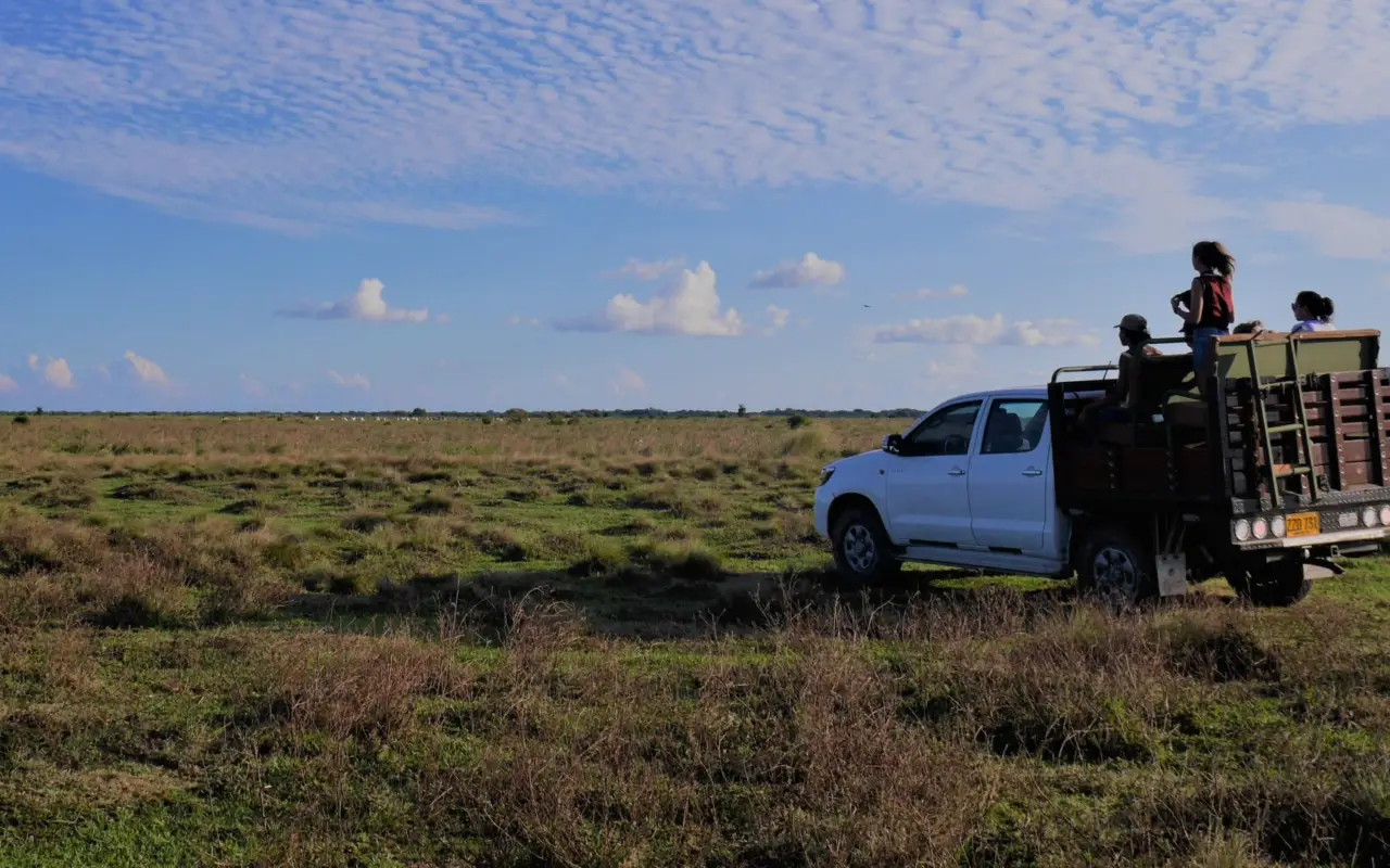 Safari dans les Llanos