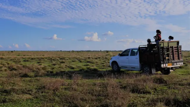 Terra Colombia en voyage dans le Casanare