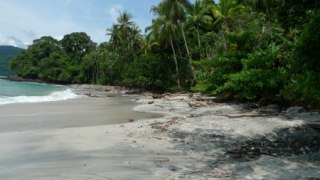 Parc National d'utria dans le Choco