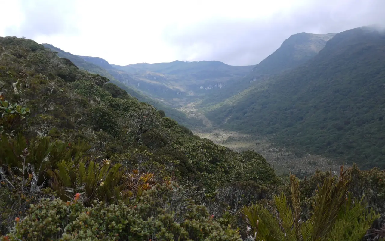 Paysages du Paramo Puraceno