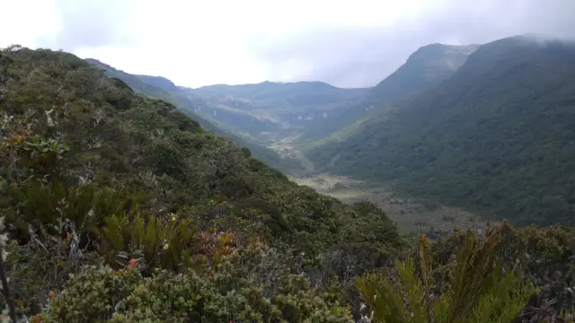 Sur les terres indigènes du Cauca