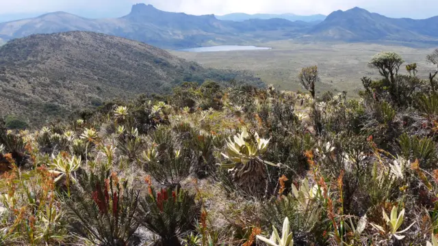 Les paysages du Cauca en Colombie
