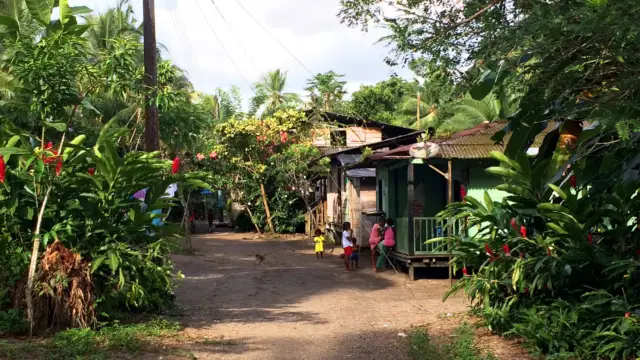 Dans la jungle du Chocó
