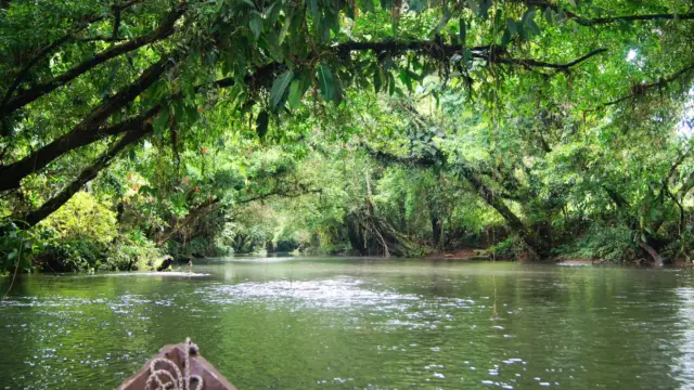 Navigation dans les eaux du Choco