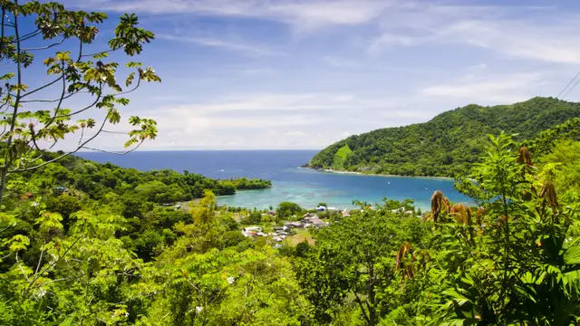 <b>Jungle du Chocó</b><br>Nuquí, Bahía Solano et parc Utría