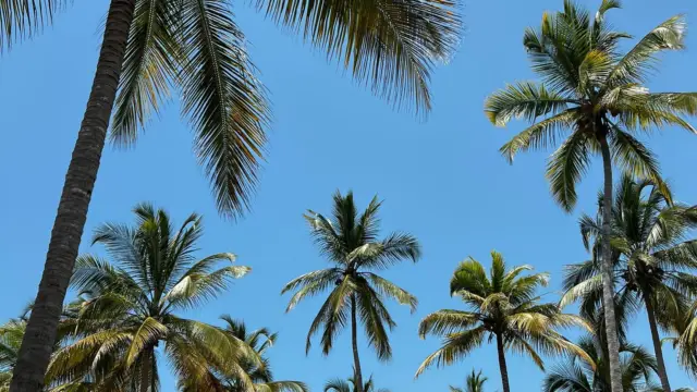  À la découverte des trésors de la région Tayrona