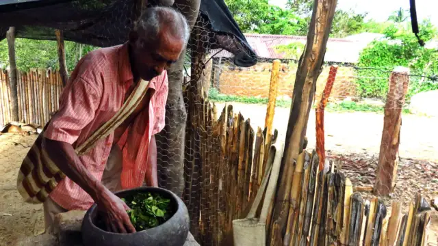Utilisation de la coca