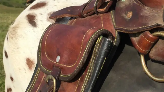 Équitation en Colombie