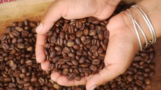 Grains de café