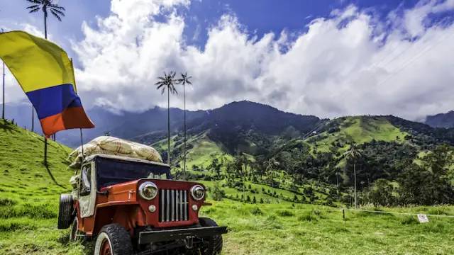 Une Jeep Willys dans la région du café