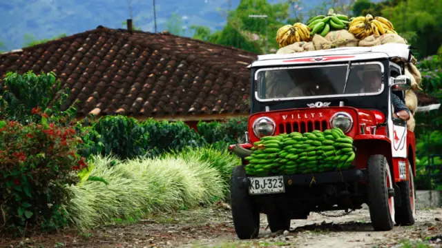 Les jeep Willys de la région du café en Colombie